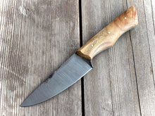 Load image into Gallery viewer, Aspero - Forged W1 Hunting Knife with natural Stabilized Maple Handle
